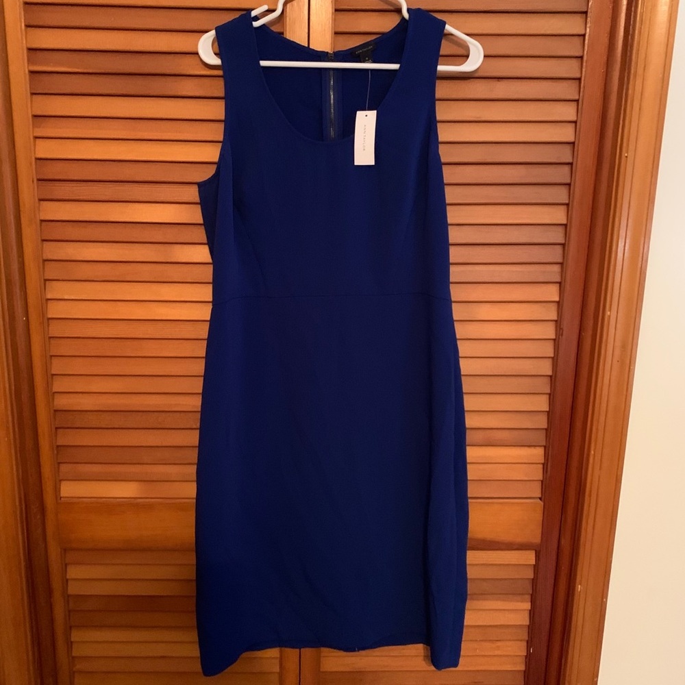 NWT LOFT royal blue dress